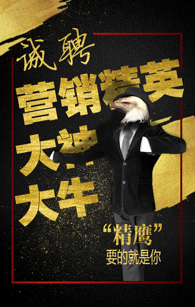 军事人才招聘网官网报名入口2025